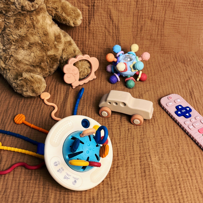 Teeny Explorers Teething Set(Mia)