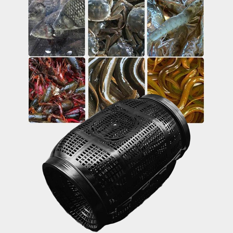 TrapBox Pro – Gaiola de Captura para Peixes