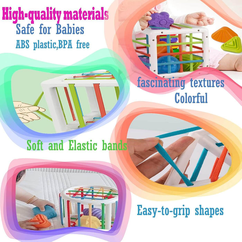 Toy 6 Pc Multi Sensory Shape